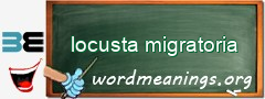 WordMeaning blackboard for locusta migratoria